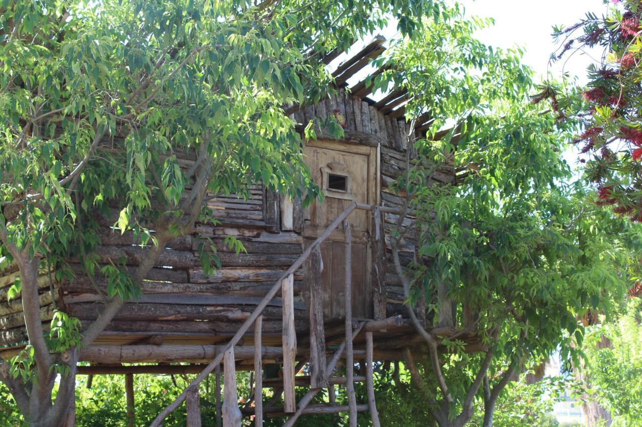 Agriturismo Ruralia Santa Domenica  Dış mekan fotoğraf