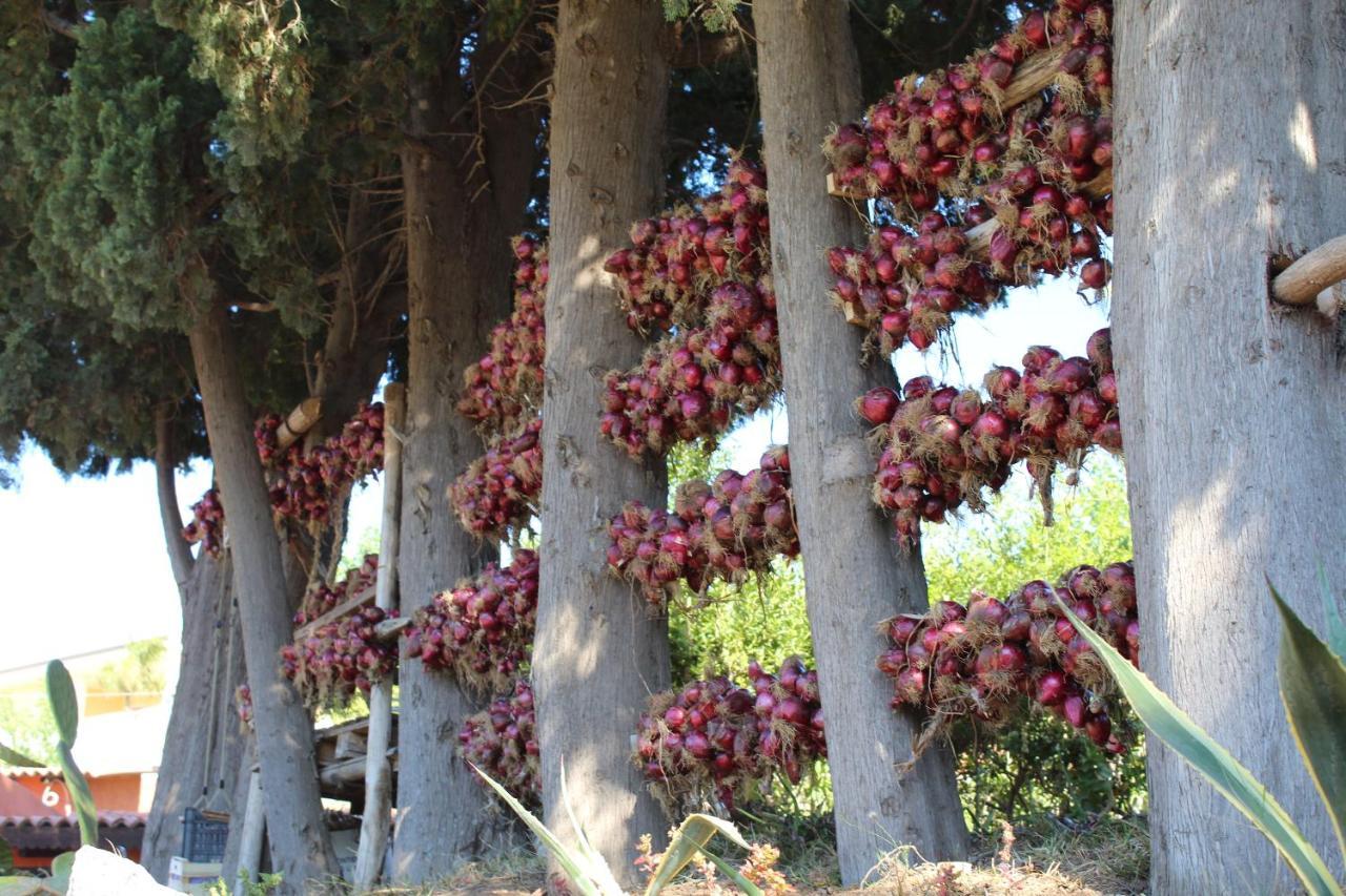 Agriturismo Ruralia Santa Domenica  Dış mekan fotoğraf