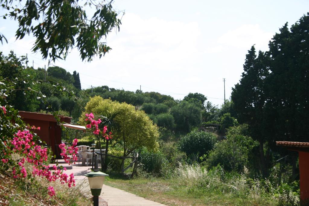 Agriturismo Ruralia Santa Domenica  Dış mekan fotoğraf