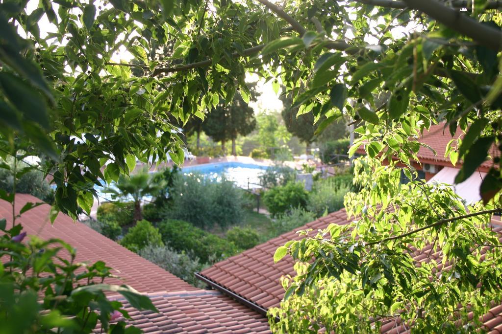 Agriturismo Ruralia Santa Domenica  Dış mekan fotoğraf