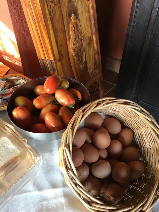 Agriturismo Ruralia Santa Domenica  Dış mekan fotoğraf